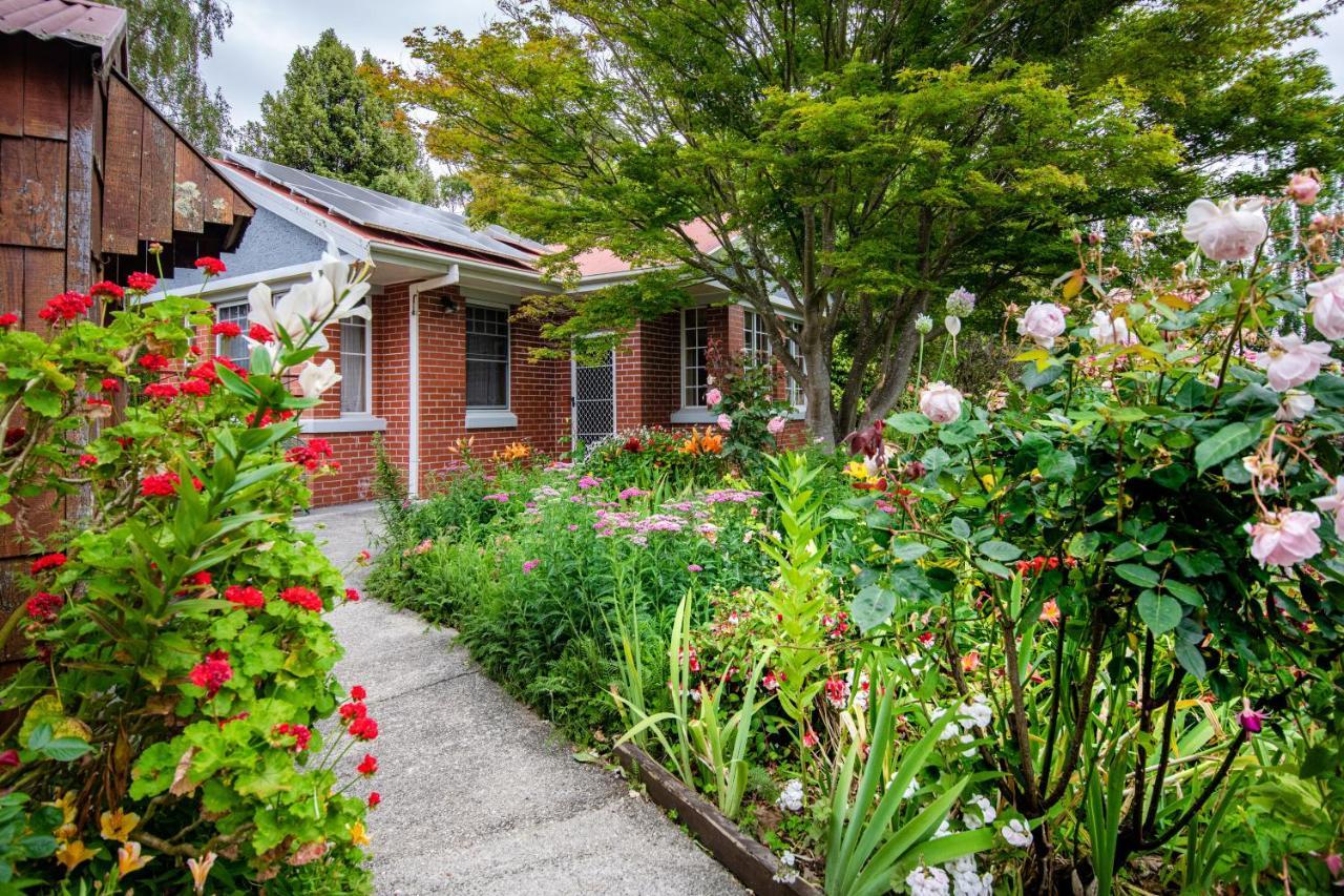 Alexandria Bed And Breakfast Wynyard Ngoại thất bức ảnh